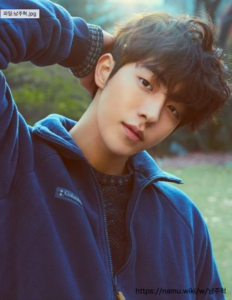 ナム・ジュヒョクのドラマで面白くて評価が高いのは？恋のゴールドメダルやハベクの新婦？